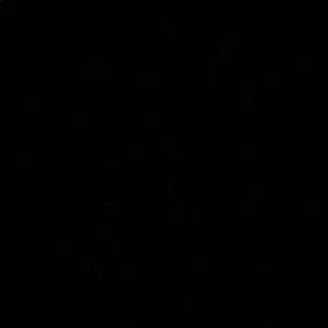 Meet your Posher, Riley